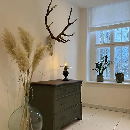 Waldquartier Erzgebirge Apartamento Thermalbad Wiesenbad