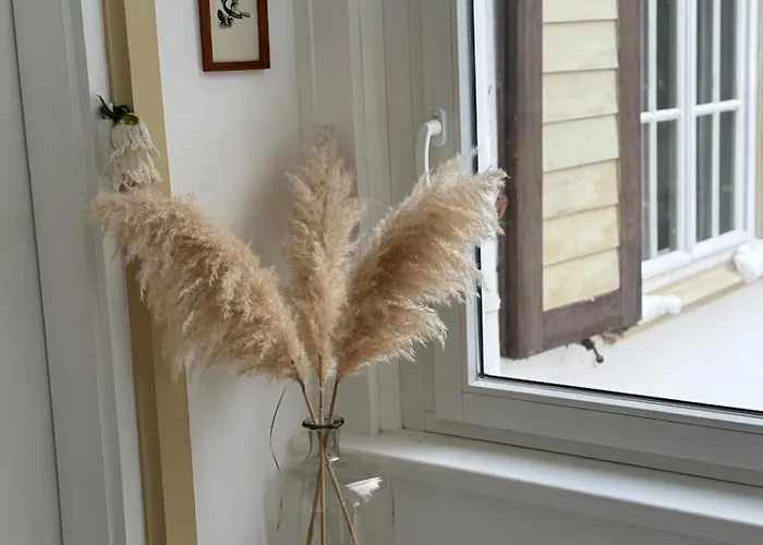 Waldquartier Erzgebirge شقة *