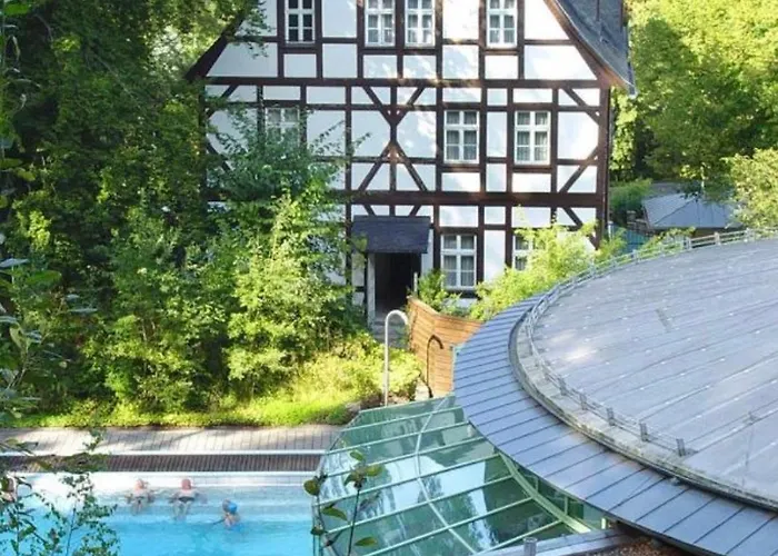 Waldquartier Erzgebirge